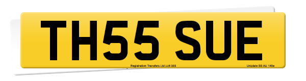 Registration number TH55 SUE